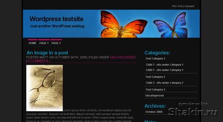 butterfly wordpress theme