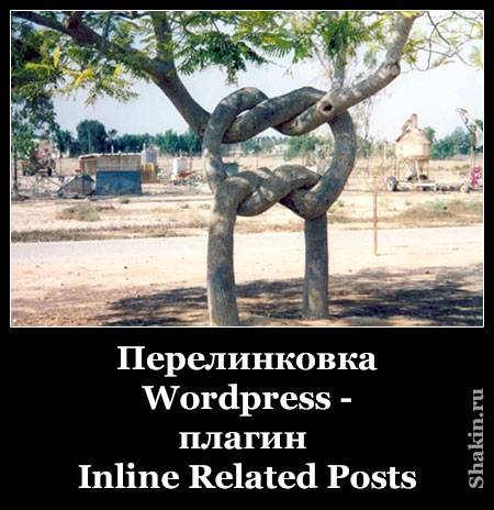 Внутренняя перелинковка WordPress - плагин Inline Related Posts